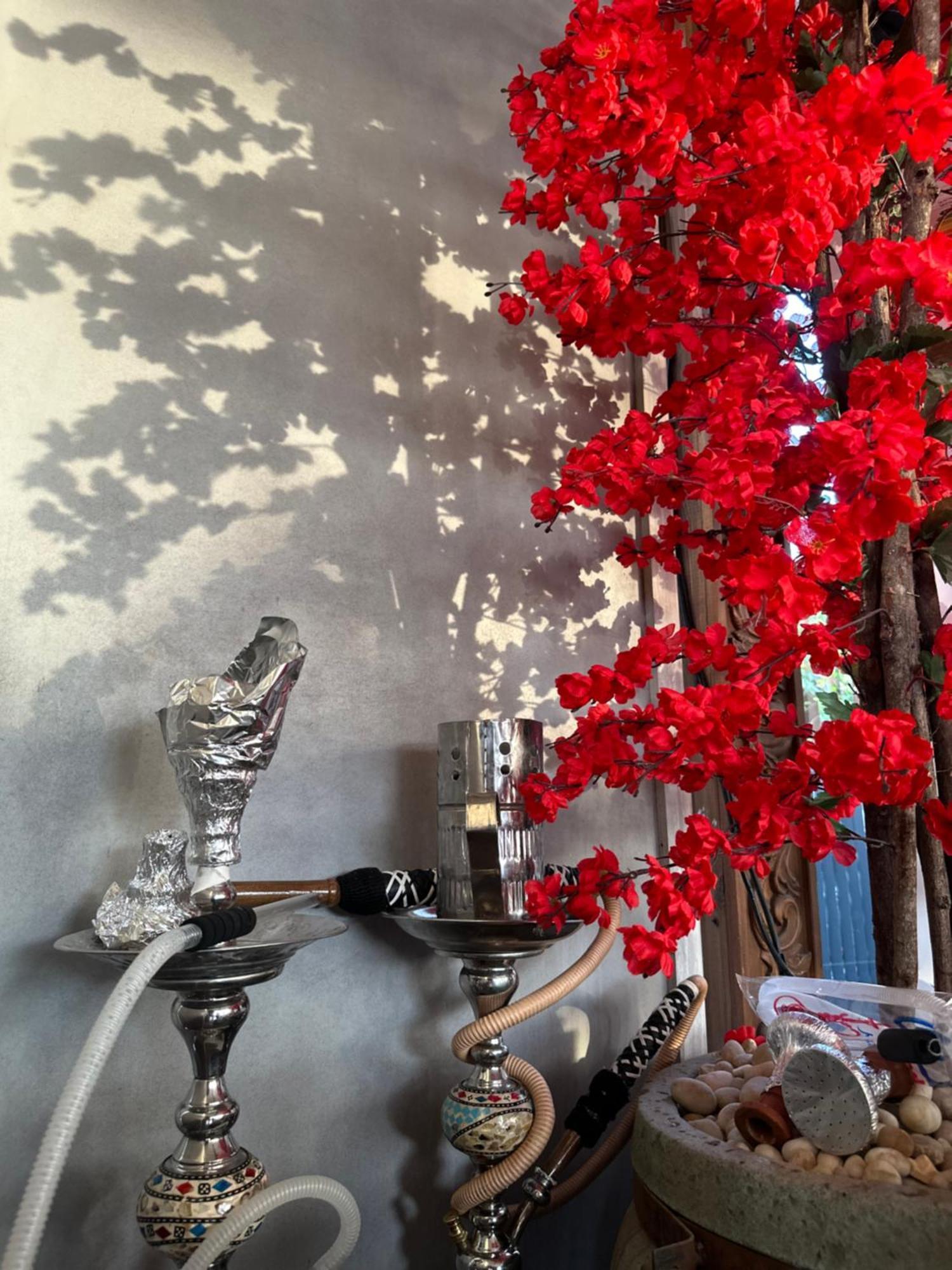 Modern 1-Bedroom Apartment In Zamalek Visits Allowed Cairo Ngoại thất bức ảnh